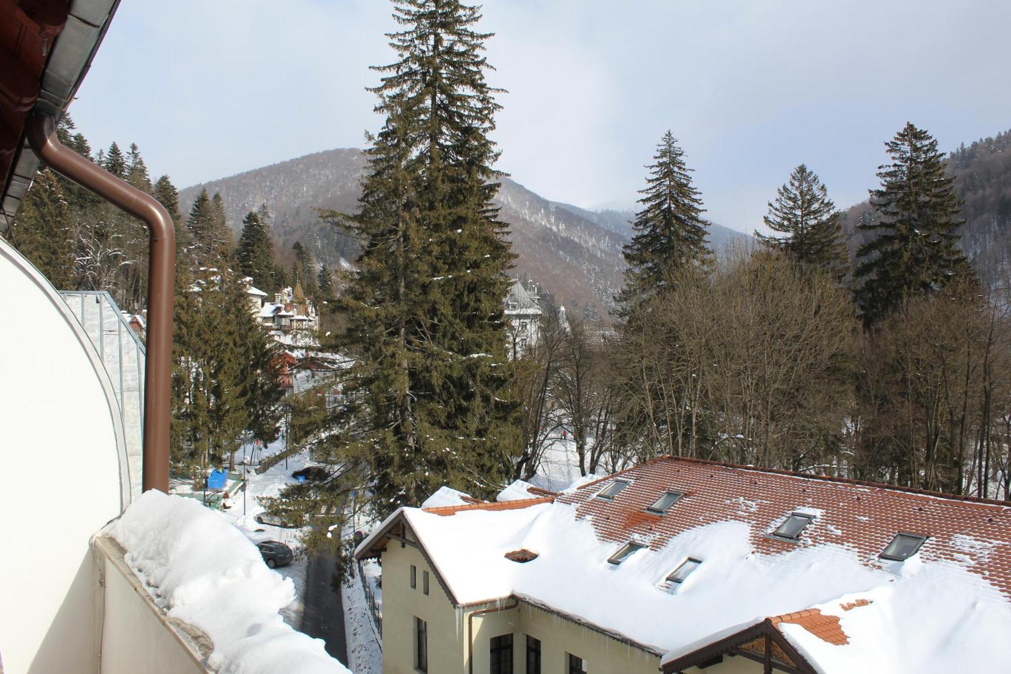 Central Park View Sinaia Buitenkant foto