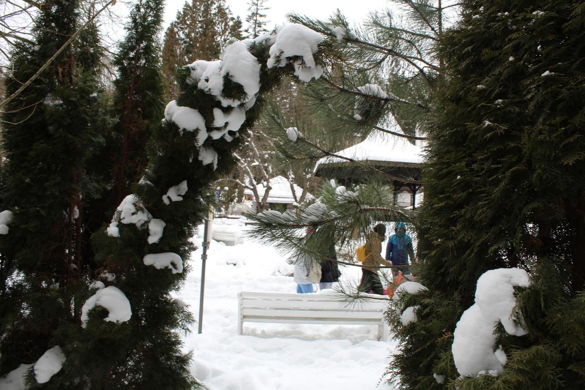 Central Park View Sinaia Buitenkant foto
