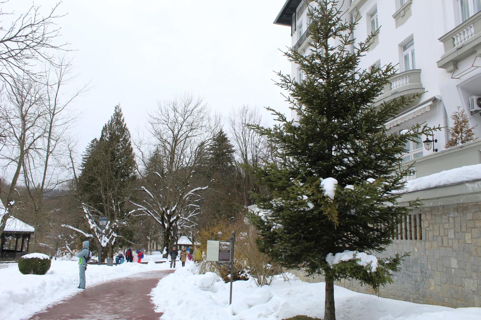 Central Park View Sinaia Buitenkant foto