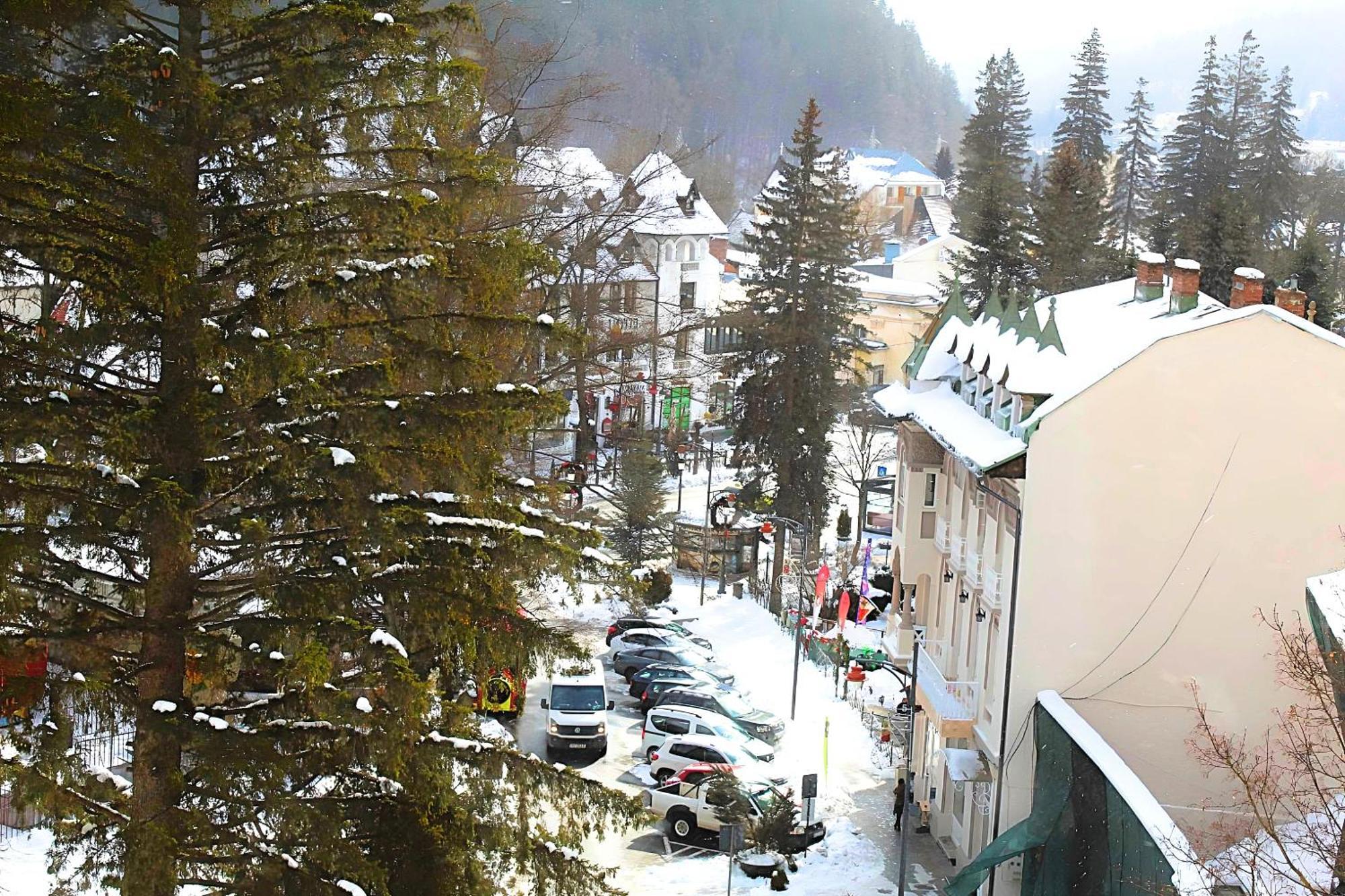 Central Park View Sinaia Buitenkant foto