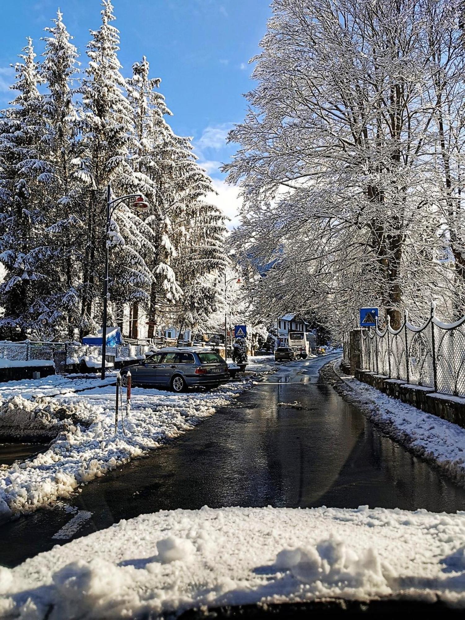 Central Park View Sinaia Buitenkant foto