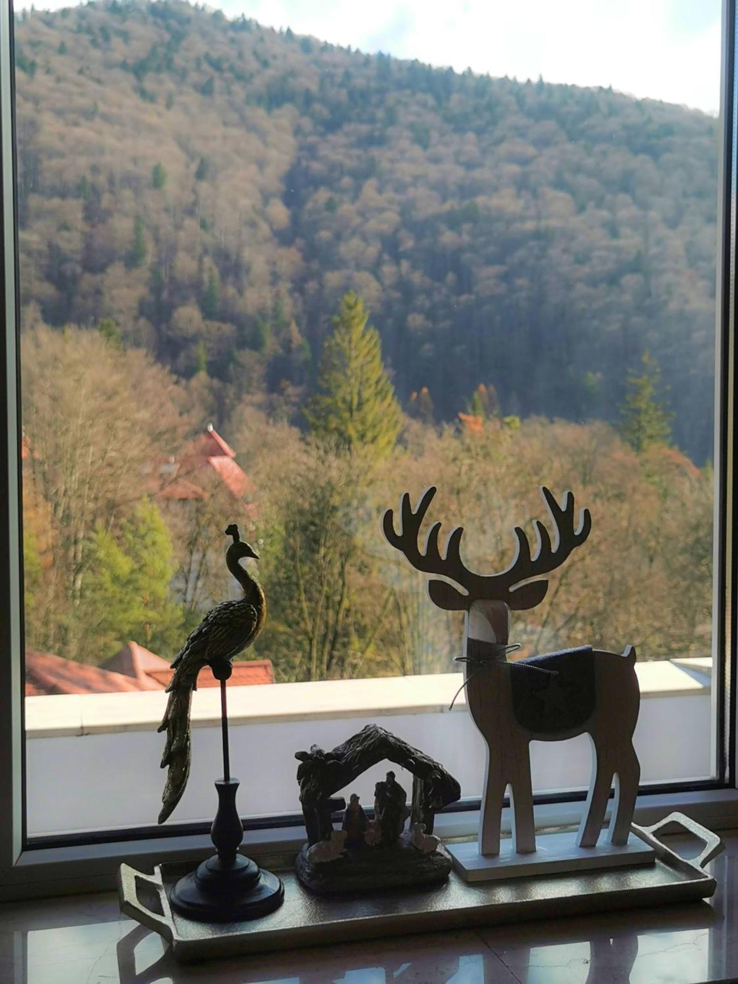 Central Park View Sinaia Buitenkant foto